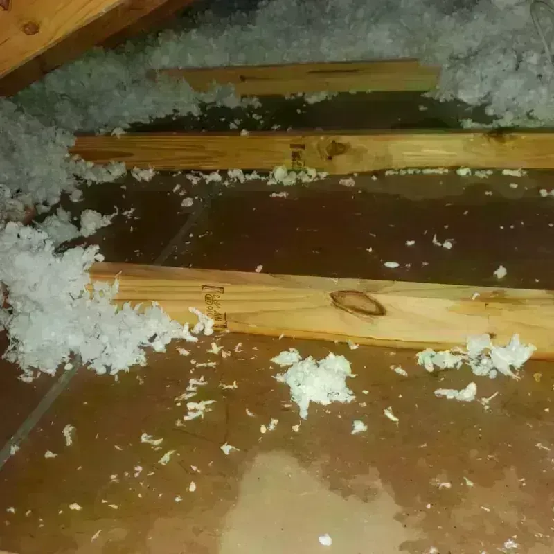 Attic Water Damage in Porter, IN